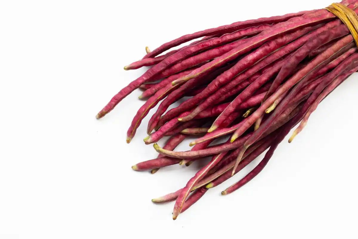 প্রিমিয়াম লাল বরবটি বীজ – দীর্ঘ, নরম ও উচ্চ ফলনশীল (50+ Seeds Pack) 2