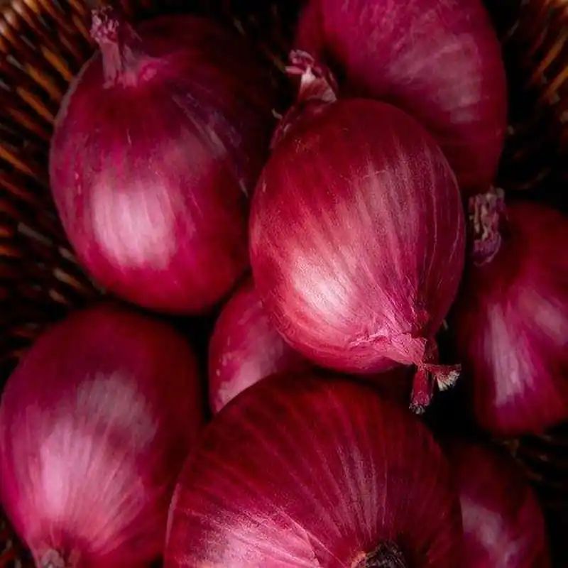 লাল পেঁয়াজ বীজ (400+ Seeds) – বড় সাইজ, বেশি ফলন ও দীর্ঘ সংরক্ষণযোগ্য