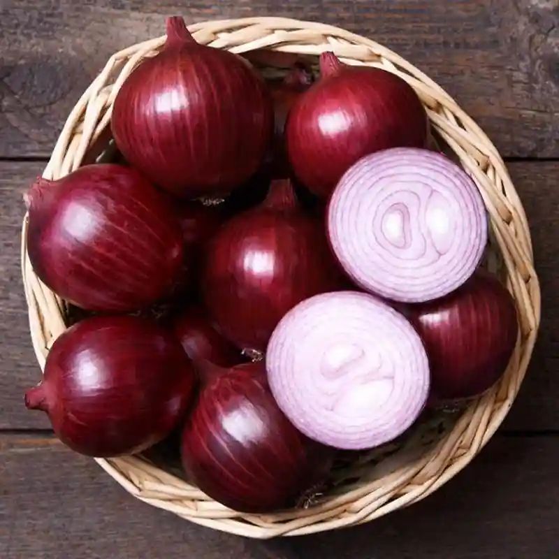 লাল পেঁয়াজ বীজ (400+ Seeds) – বড় সাইজ, বেশি ফলন ও দীর্ঘ সংরক্ষণযোগ্য 4