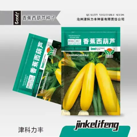 হলুদ স্কোয়াশ বীজ (50+ Seeds) উজ্জ্বল রঙ, নরম ও উচ্চ ফলন 1