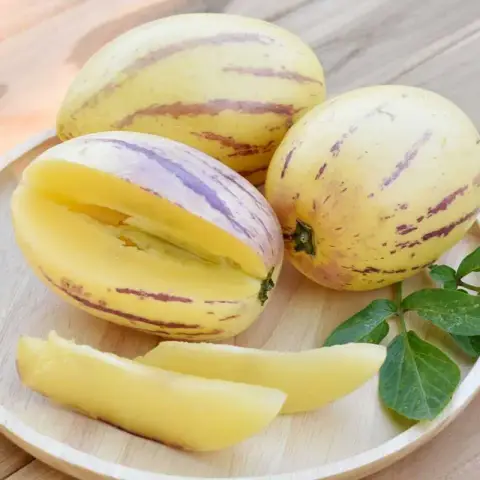 পেপিনো মেলন বীজ (50+ Seeds) মিষ্টি, জুসি ও উচ্চ ফলন 3