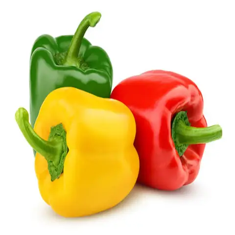 ৫ কালার ক্যাপসিকাম বীজ (100+ Seeds) – এক গাছে বিভিন্ন রঙ, বেশি ফলন 2