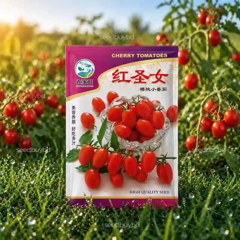 চেরি টমেটো বীজ (200+ Seeds) – ছোট, মিষ্টি ও বেশি ফলন