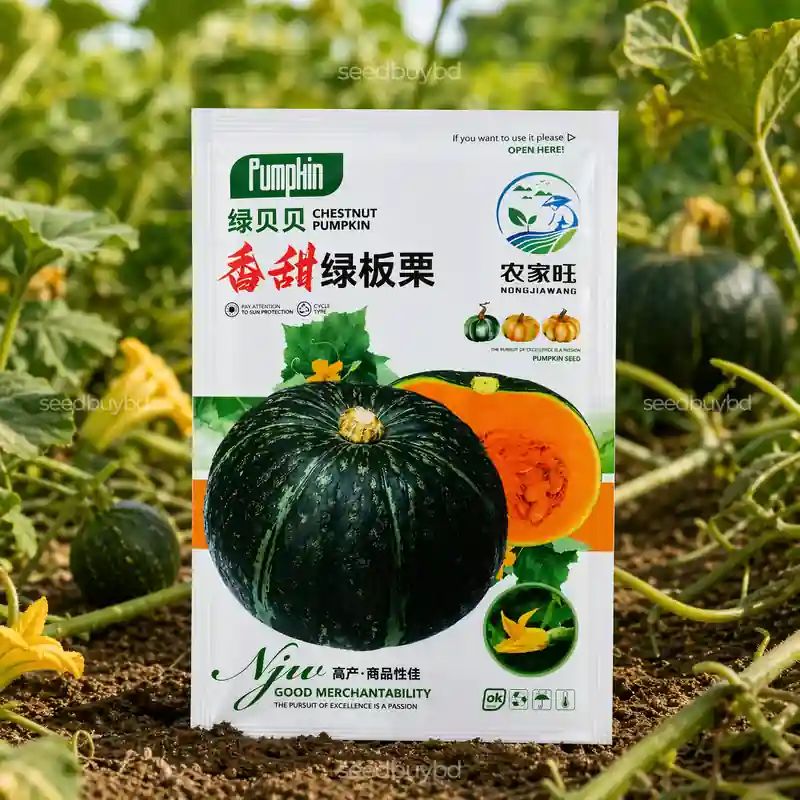জাপানি কুমড়া বীজ (30+ Seeds) – মিষ্টি, ঘন শাঁস ও উচ্চ ফলন