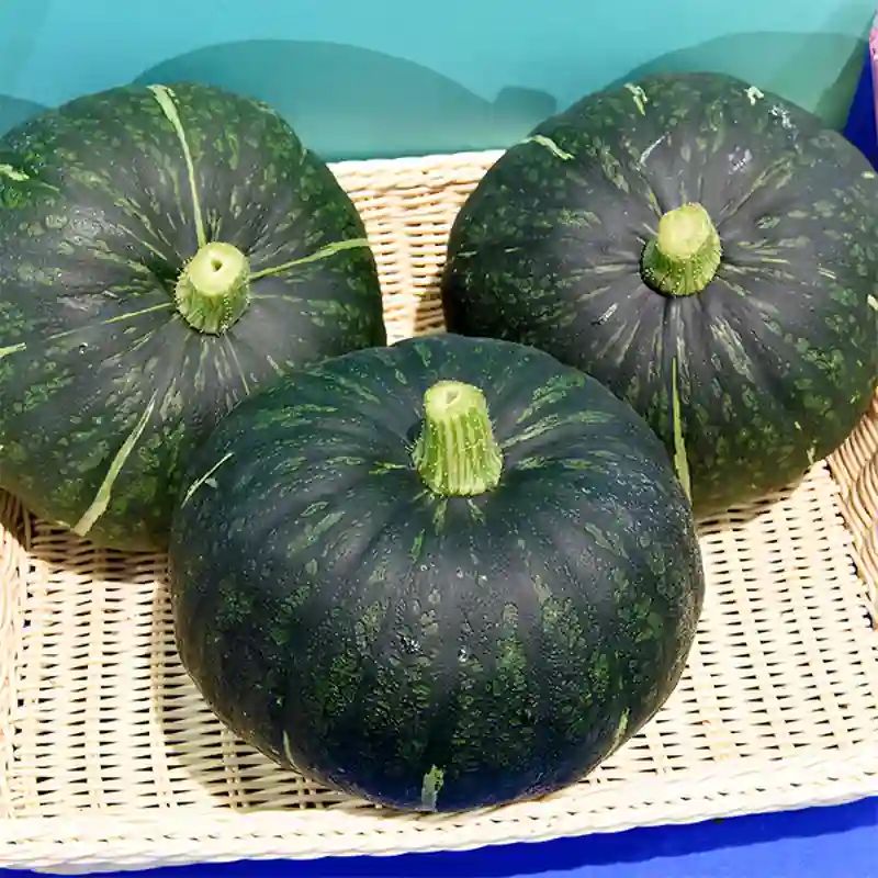 জাপানি কুমড়া বীজ (30+ Seeds) – মিষ্টি, ঘন শাঁস ও উচ্চ ফলন 2