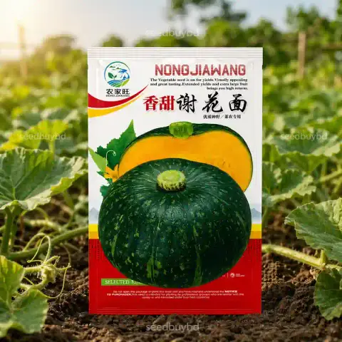 বিদেশি কুমড়া বীজ (30+ Seeds) – ভিতরে হলুদ, মিষ্টি ও উচ্চ ফলন