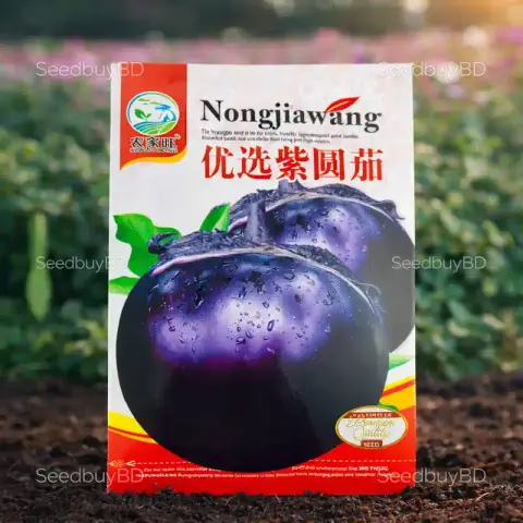 বিদেশি গোল তাল বেগুন বীজ (350+ Seeds) – বড় সাইজ, বেশি ফলন 1