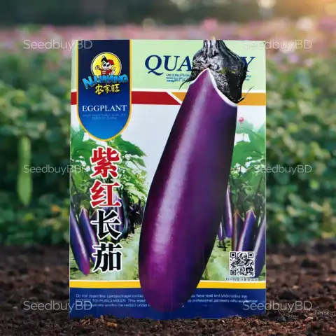 লম্বা বেগুন বীজ (350 Seeds) – দ্রুত বৃদ্ধি ও বেশি ফলন 1