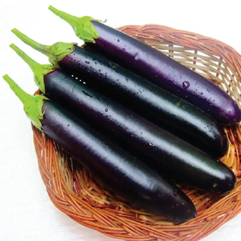 লম্বা বেগুন বীজ (350 Seeds) – দ্রুত বৃদ্ধি ও বেশি ফলন 2