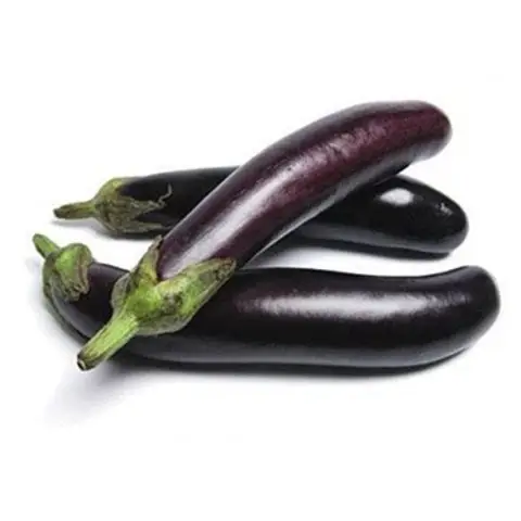 লম্বা বেগুন বীজ (350 Seeds) – দ্রুত বৃদ্ধি ও বেশি ফলন 3