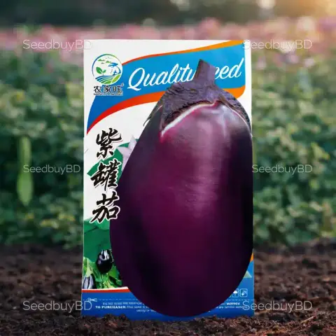 বিদেশি গোল তাল বেগুন বীজ (400+ Seeds) – বড় সাইজ, বেশি ফলন 1