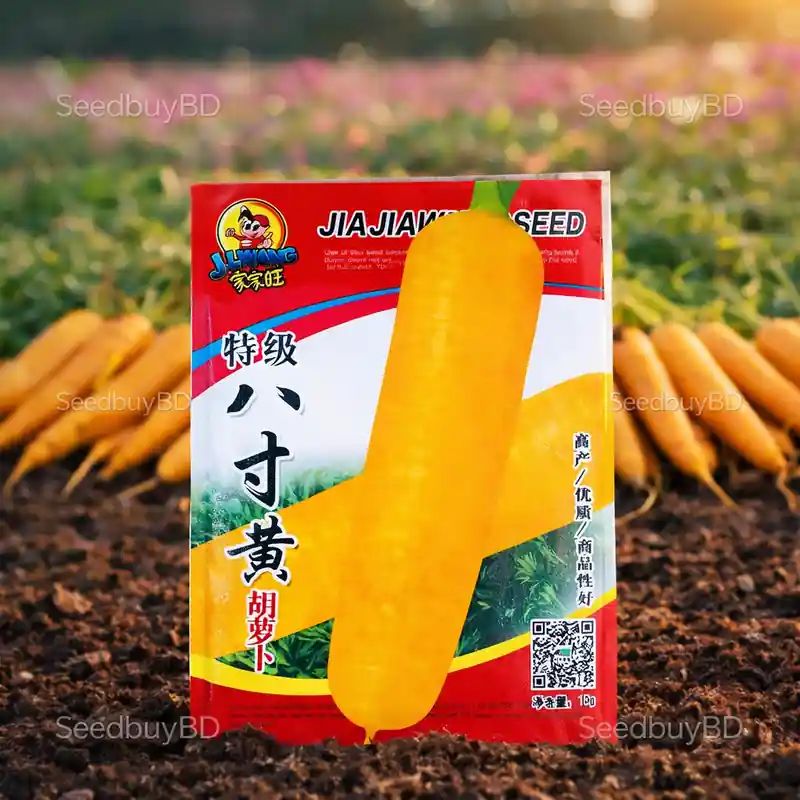 হলুদ গাজর বীজ (1000+ Seeds) উজ্জ্বল রঙ, মিষ্টি ও উচ্চ ফলন