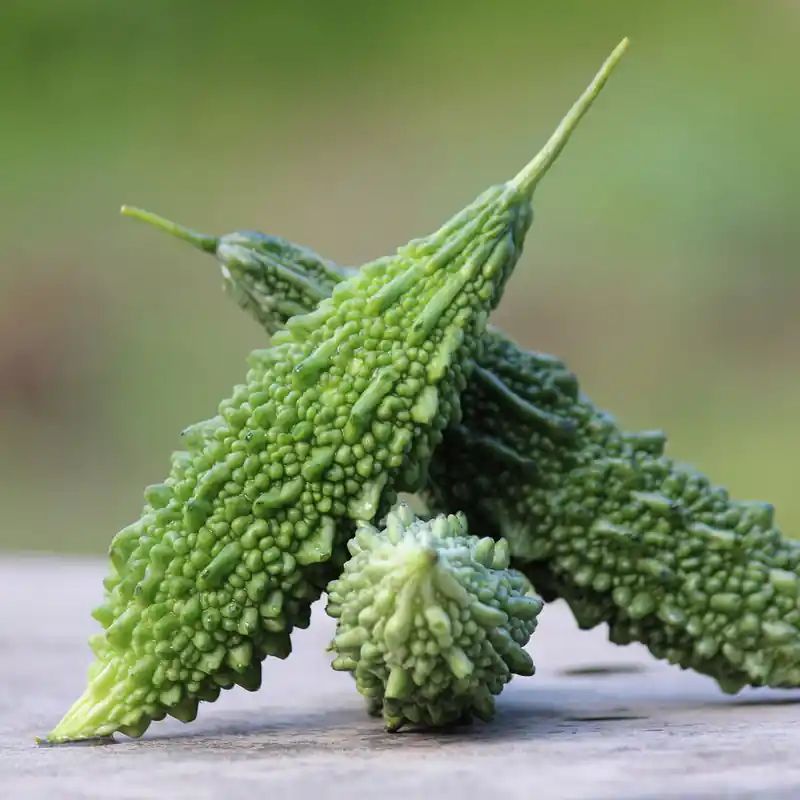 করলা বীজ (50+ Seeds)তিতা স্বাদ, স্বাস্থ্যকর ও উচ্চ ফলন 3