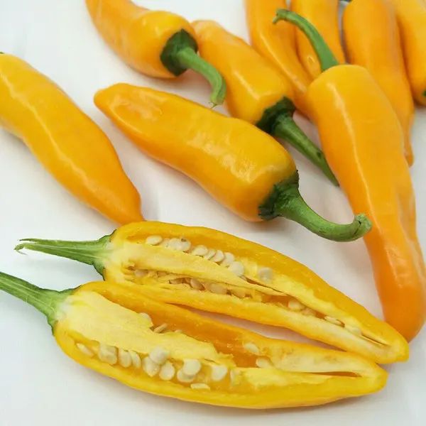 হলুদ মরিচ বীজ (300+ Seeds)ঝাল, সুন্দর রঙ ও উচ্চ ফলন