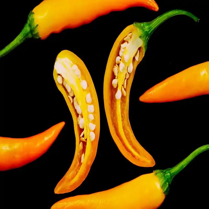 হলুদ মরিচ বীজ (300+ Seeds)ঝাল, সুন্দর রঙ ও উচ্চ ফলন 2