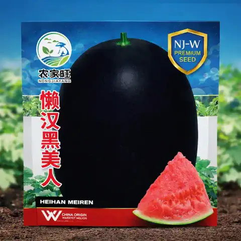 কালো তরমুজ বীজ (50+ Seeds)বাইরে কালো, ভিতরে লাল মিষ্টি ও উচ্চ ফলন 1