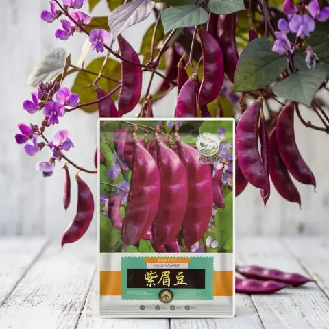 লাল শিম বীজ (50+ Seeds) – দ্রুত বৃদ্ধি ও বেশি ফলন 1