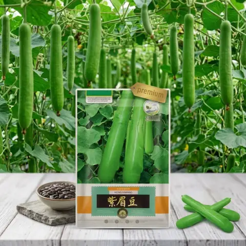 কোরিয়ান লম্বা লাউ বীজ (50+ Seeds) লম্বা, নরম ও বেশি ফলন 1