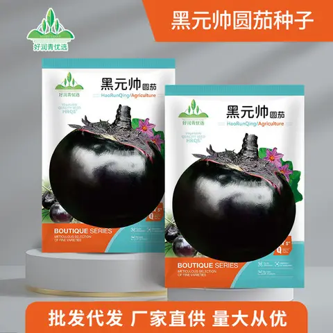বিদেশি গোল তাল বেগুন বীজ (350+ Seeds) – বড় সাইজ, বেশি ফলন 1