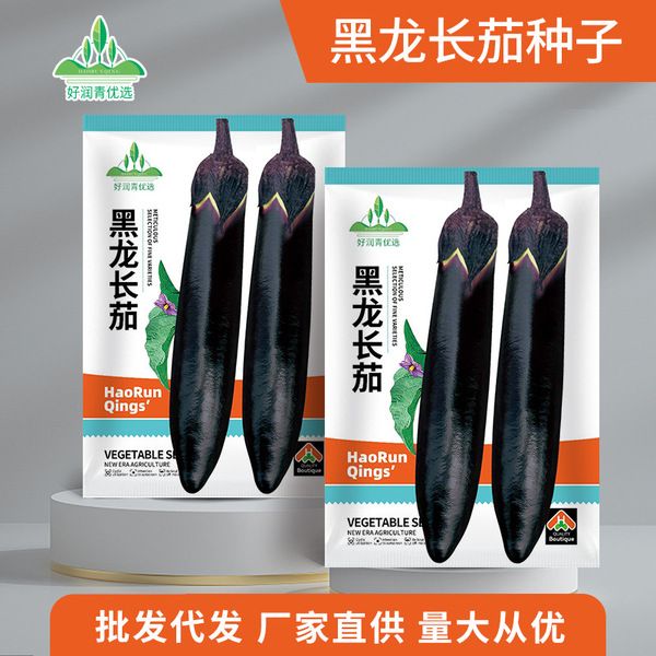 লম্বা বেগুন বীজ (350 Seeds) – দ্রুত বৃদ্ধি ও বেশি ফলন