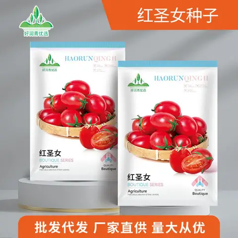 চেরি টমেটো বীজ (200+ Seeds) – ছোট, মিষ্টি ও বেশি ফলন
